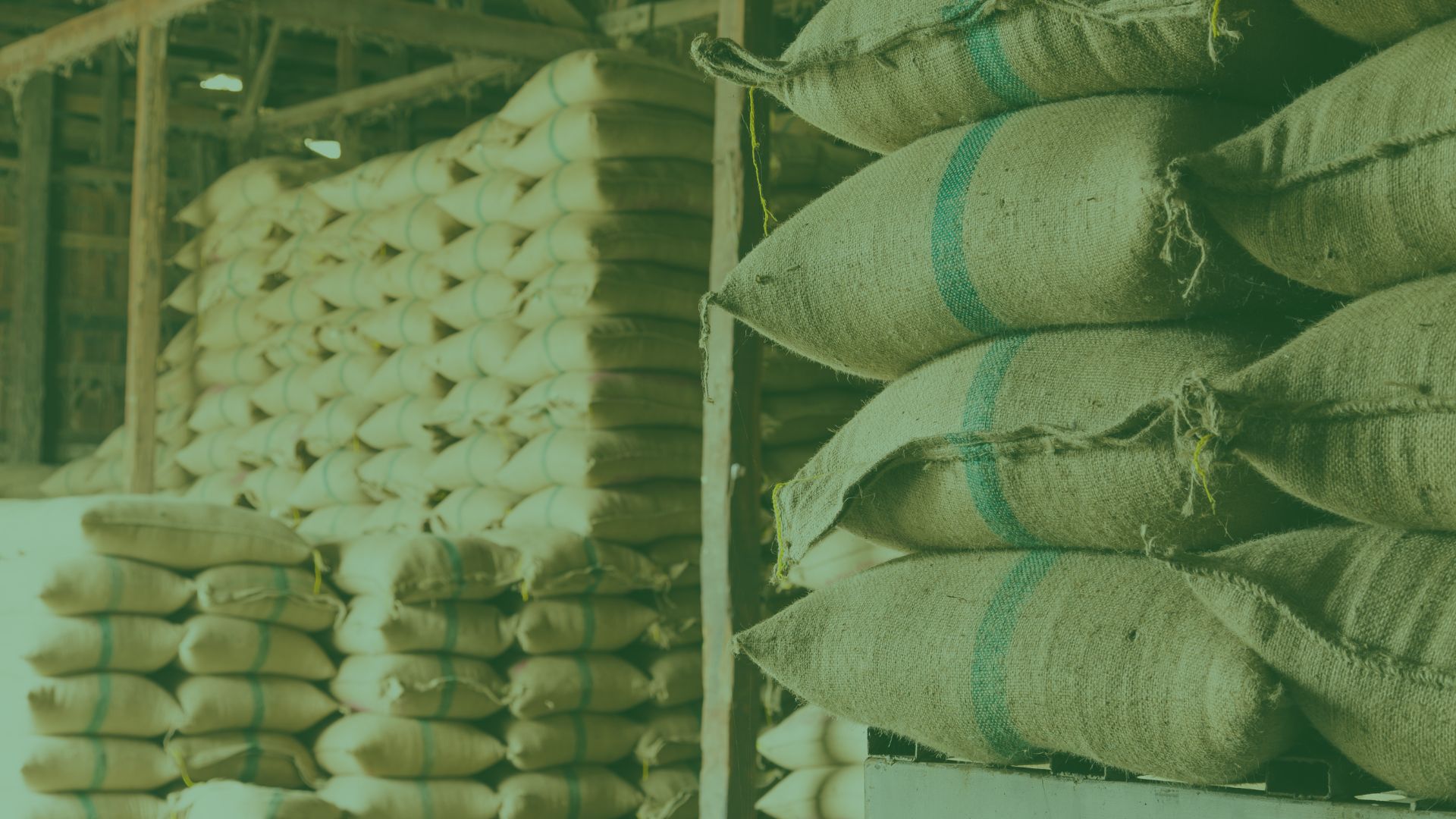 Home Saragire Commodities