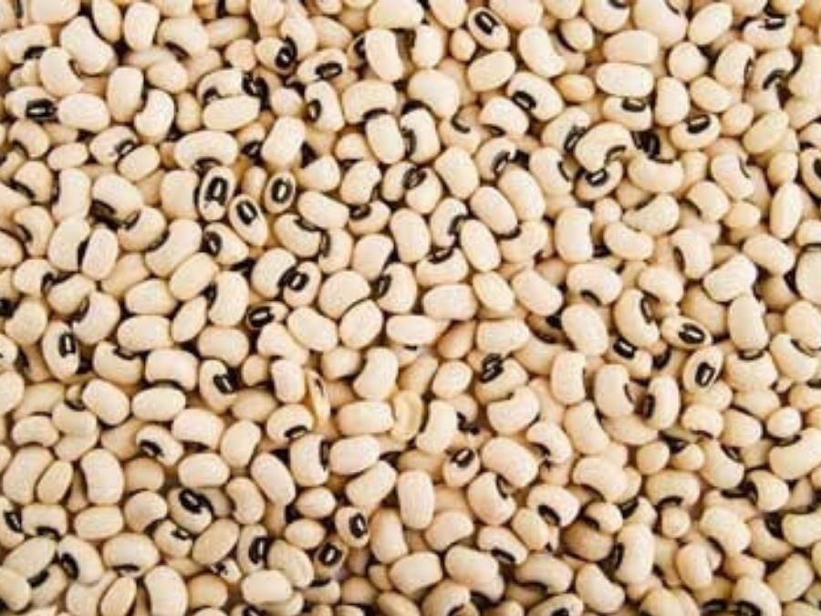 Home Sesame seeds