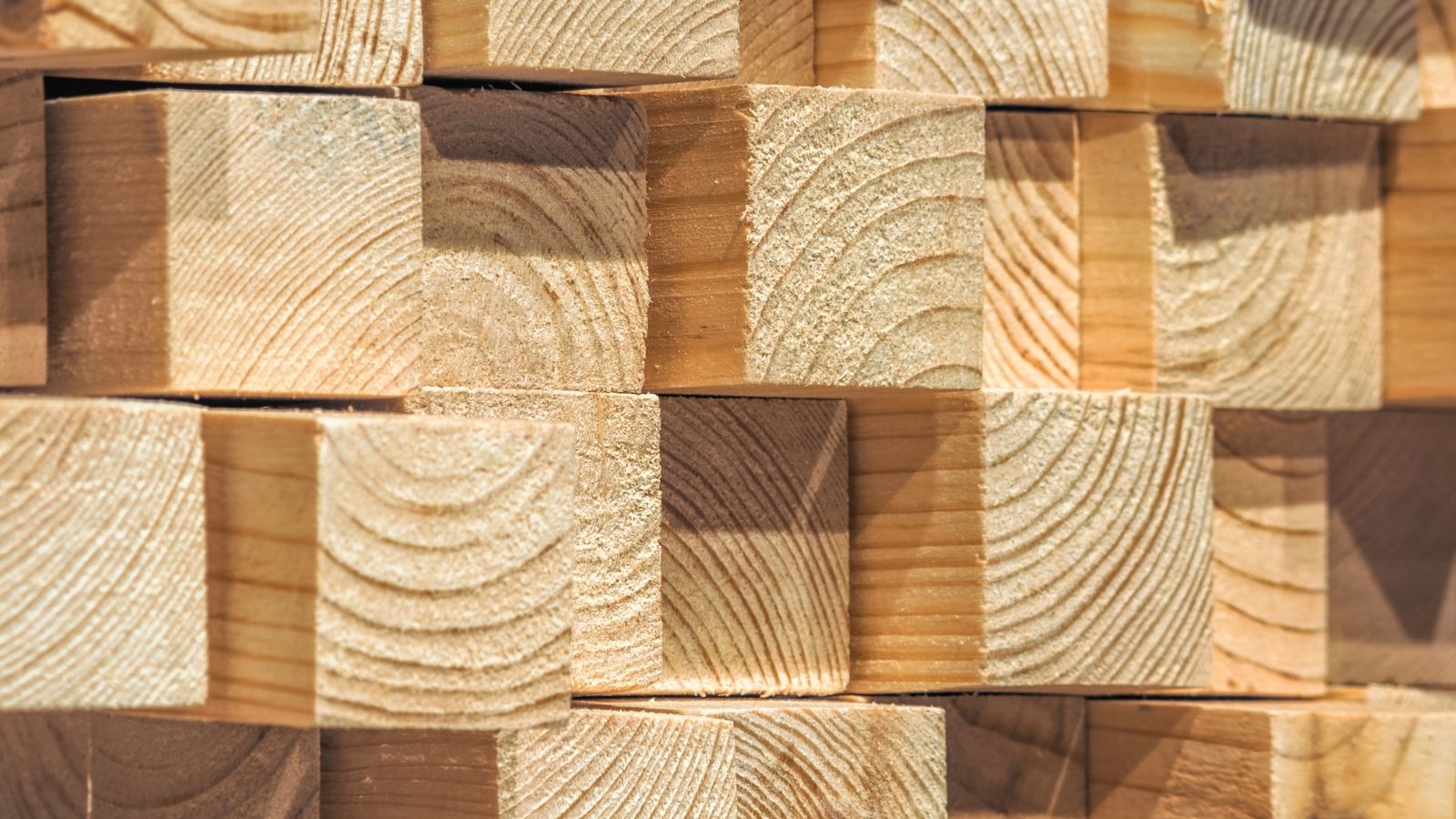 Forest products Grading, drying and packing — SARAGIRE