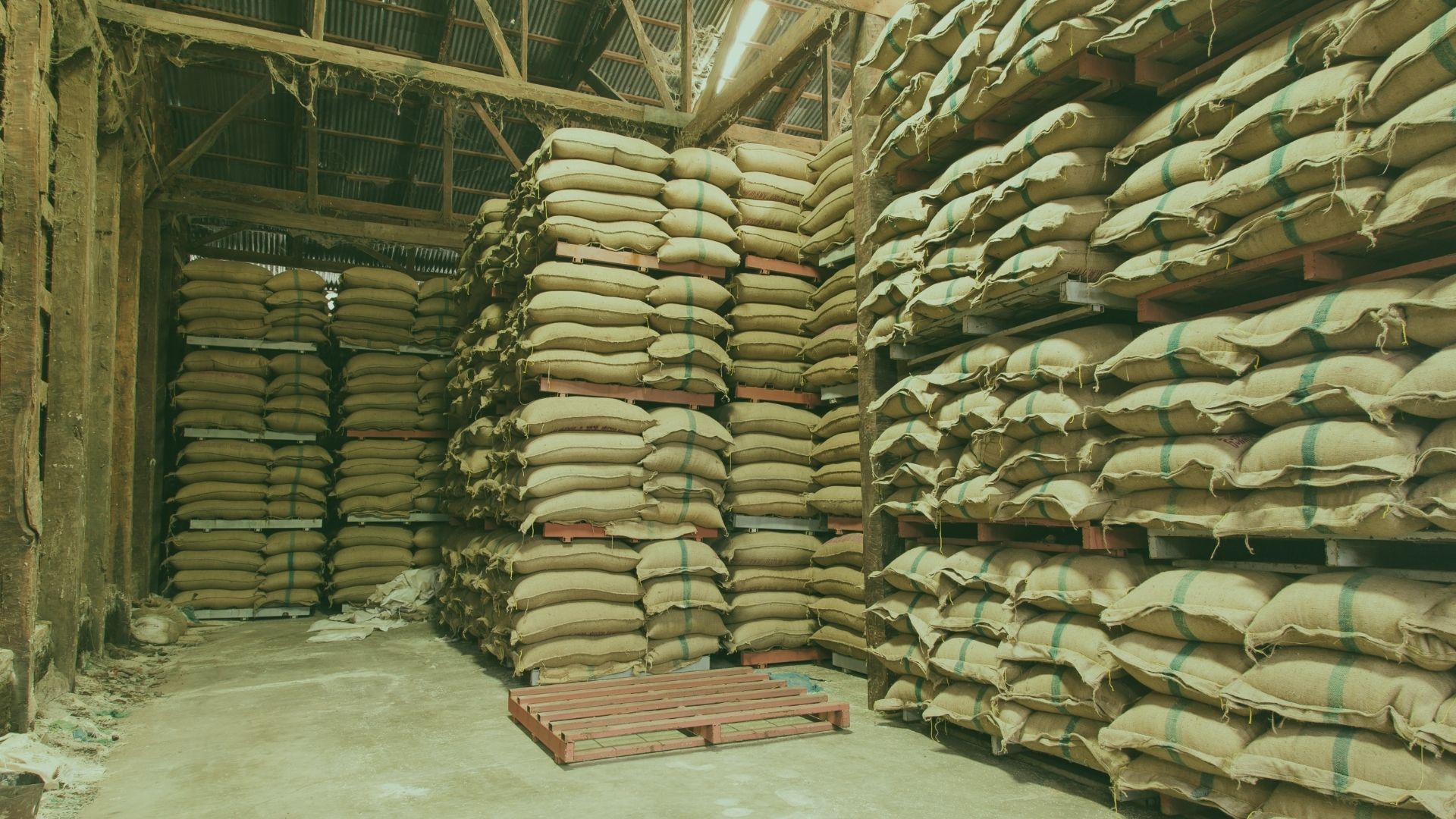 commodities Warehouse with bagged grains — SARAGIRE