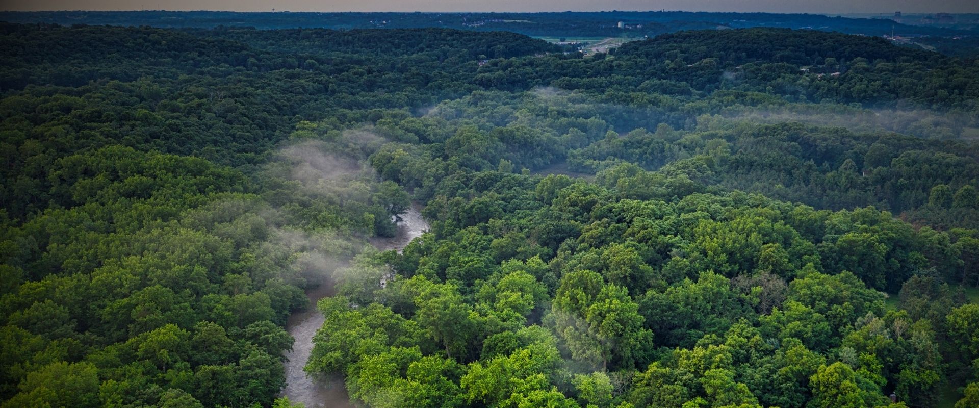 Forest products Forest landscape and timber operations — SARAGIRE